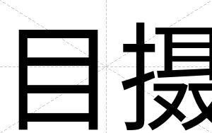 目摄