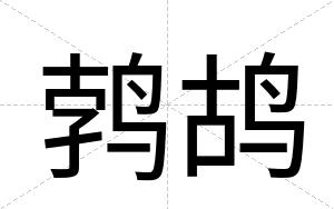 鹁鸪