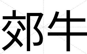 郊牛