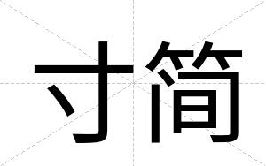 寸简