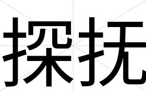 探抚
