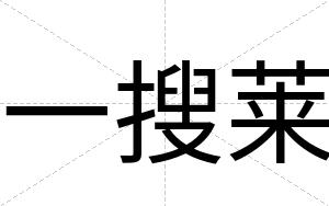 一搜莱
