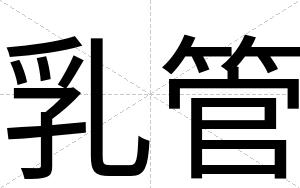 乳管
