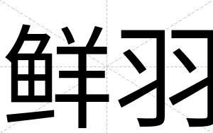 鲜羽