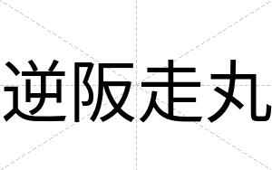 逆阪走丸