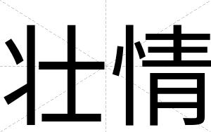 壮情