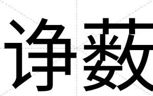 诤薮