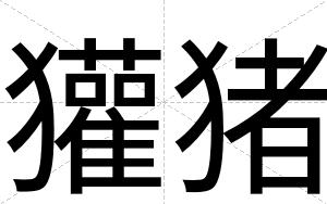 獾猪