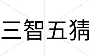三智五猜