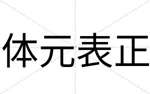 体元表正
