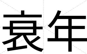 衰年