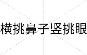横挑鼻子竖挑眼