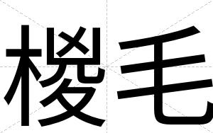 椶毛