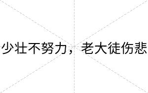 少壮不努力，老大徒伤悲