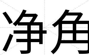 净角