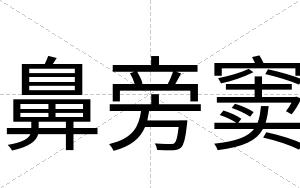鼻旁窦