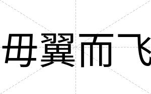 毋翼而飞