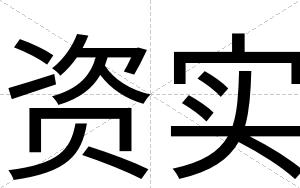 资实