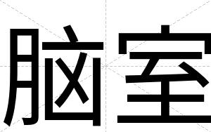 脑室