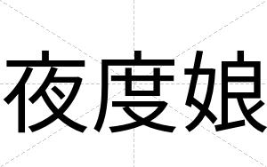 夜度娘