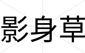 影身草