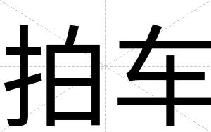 拍车