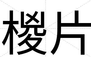 椶片