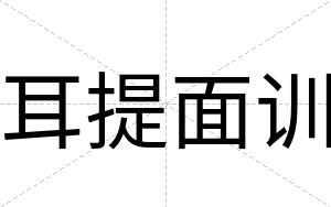 耳提面训