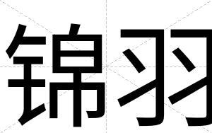 锦羽