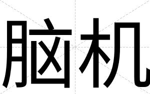 脑机