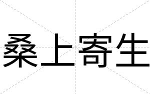 桑上寄生
