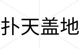 扑天盖地