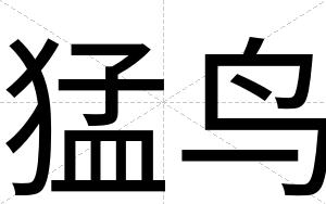 猛鸟