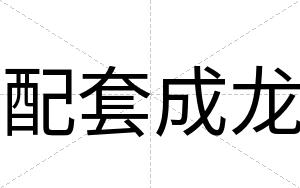 配套成龙