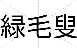 緑毛叟