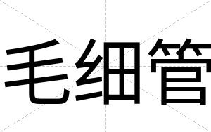 毛细管