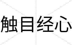 触目经心