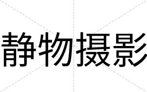 静物摄影