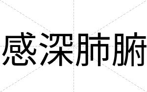 感深肺腑