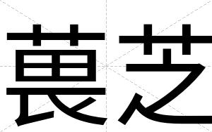 葨芝