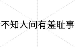 不知人间有羞耻事