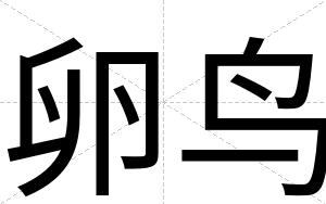 卵鸟