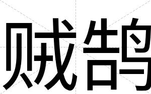 贼鹄
