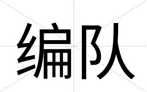编队