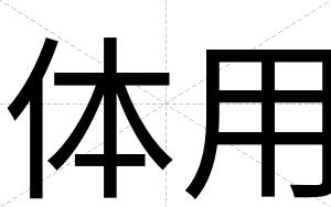 体用