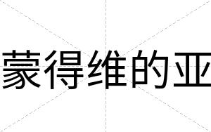 蒙得维的亚