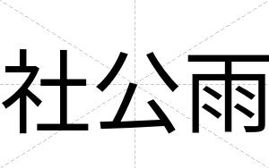 社公雨