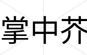 掌中芥