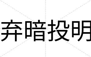 弃暗投明