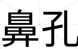 鼻孔